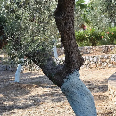 Grande Artemis Prázdninový dům *