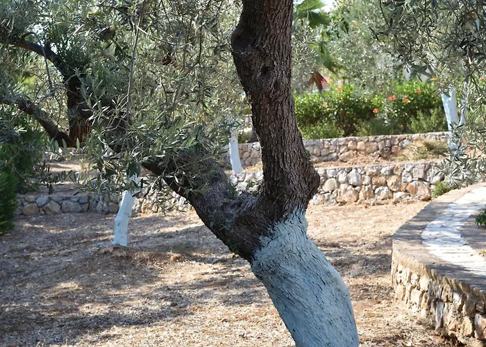 Grande Artemis Nyaraló *