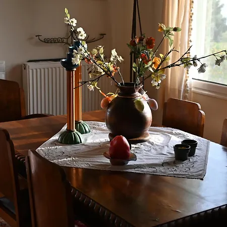 Hébergement de vacances Grande Artemis